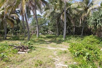 Alofa Beach Bungalows Lenakel  Exterior photo