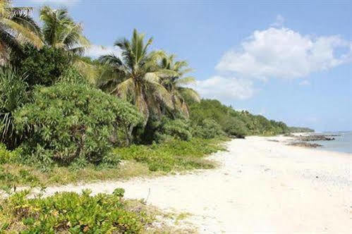 Alofa Beach Bungalows Lenakel  Exterior photo